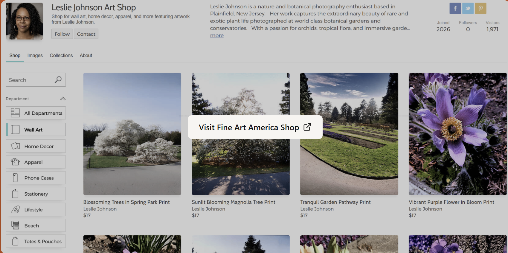 Fine Art America shop preview